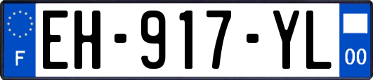 EH-917-YL