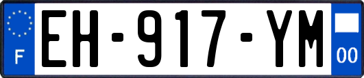 EH-917-YM