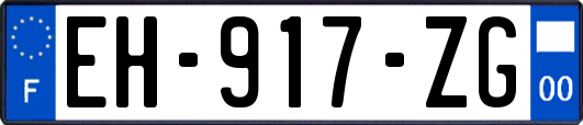 EH-917-ZG