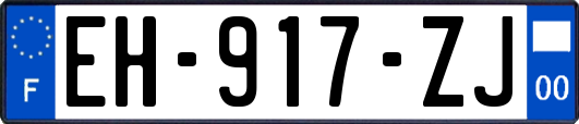 EH-917-ZJ