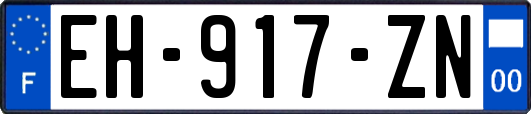 EH-917-ZN