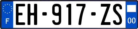 EH-917-ZS