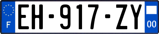 EH-917-ZY
