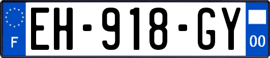 EH-918-GY