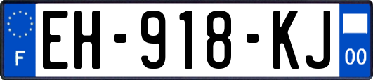 EH-918-KJ