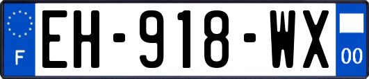 EH-918-WX