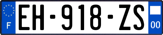 EH-918-ZS