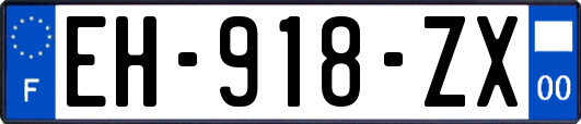 EH-918-ZX