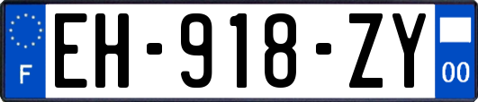 EH-918-ZY