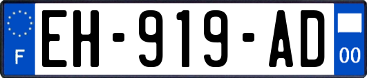 EH-919-AD