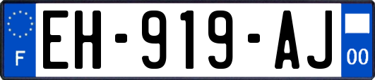 EH-919-AJ