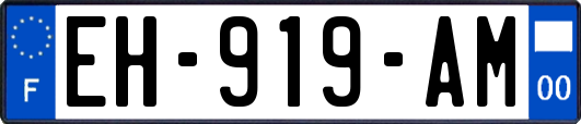 EH-919-AM