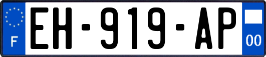 EH-919-AP