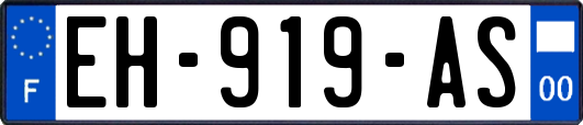 EH-919-AS