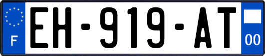 EH-919-AT