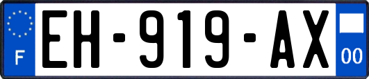 EH-919-AX
