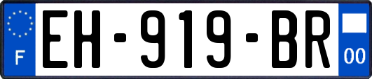 EH-919-BR
