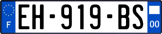 EH-919-BS