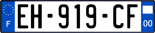 EH-919-CF