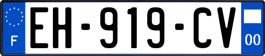 EH-919-CV