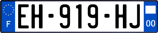 EH-919-HJ