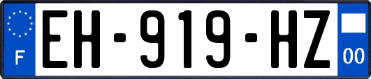 EH-919-HZ