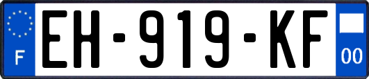 EH-919-KF