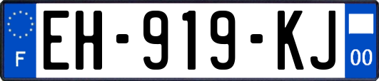 EH-919-KJ