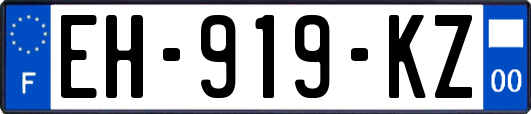 EH-919-KZ