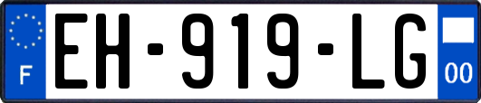 EH-919-LG