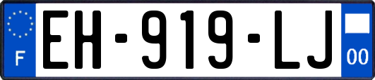 EH-919-LJ
