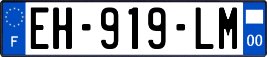 EH-919-LM