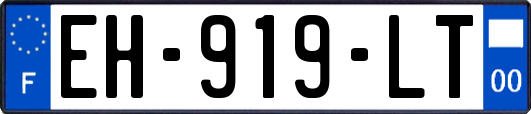 EH-919-LT