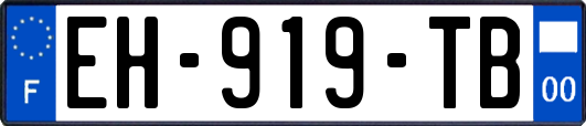 EH-919-TB