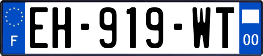 EH-919-WT