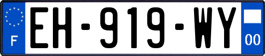 EH-919-WY