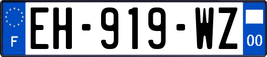 EH-919-WZ