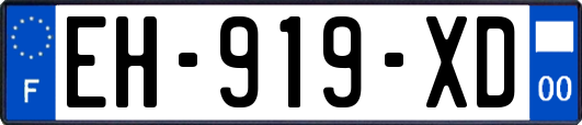 EH-919-XD