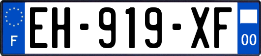 EH-919-XF