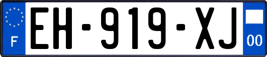 EH-919-XJ