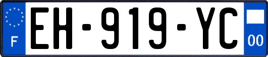 EH-919-YC