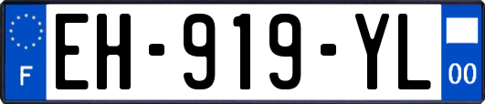 EH-919-YL