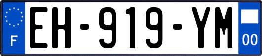 EH-919-YM