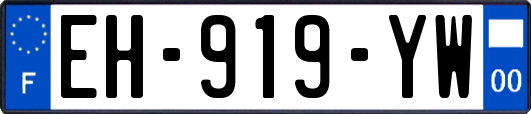 EH-919-YW