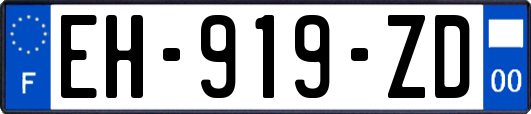 EH-919-ZD