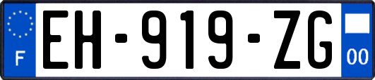 EH-919-ZG