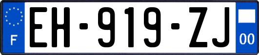 EH-919-ZJ