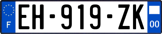 EH-919-ZK