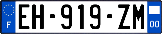 EH-919-ZM