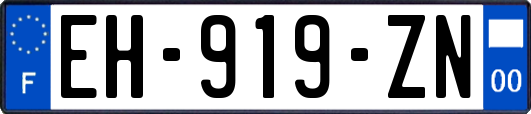 EH-919-ZN